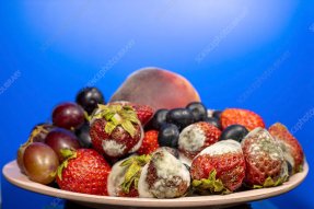Rotting fruit